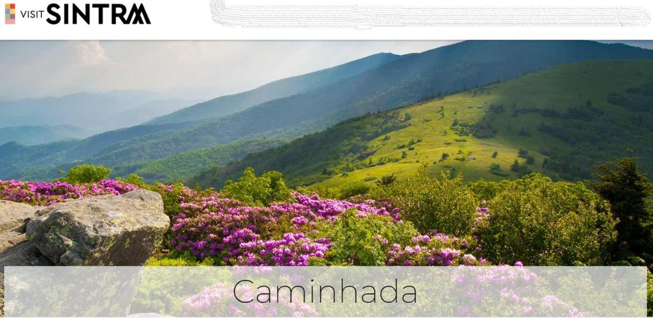 Sintra Lousa ภายนอก รูปภาพ